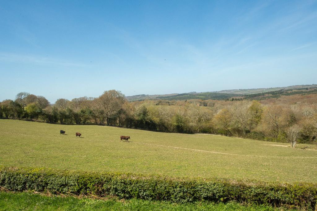 Brightling Road, Dallington, East Sussex, TN21 9LJ Foresters Estate