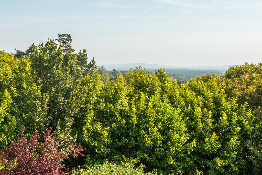 Mutton Hall Lane, Heathfield, East Sussex, TN21 8NX Foresters Estate