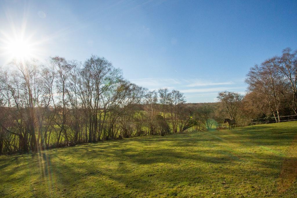 Moat Lane, Waldron, East Sussex, TN21 0RT Foresters Estate Agents Heathfield