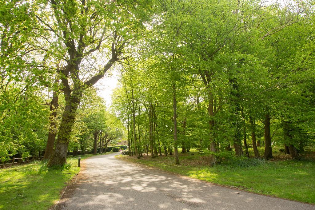 Mayfield Grange, Little Trodgers Lane, Mayfield, East Sussex, TN20 6BF