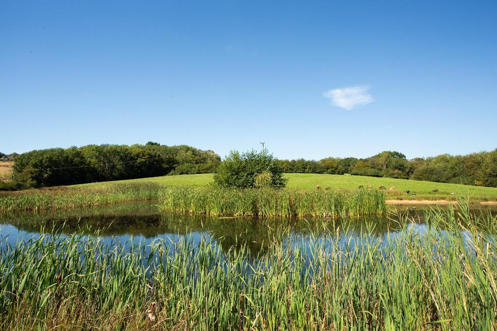 Cowbeech Road, Rushlake Green, Warbleton, East Sussex, TN21 9QA